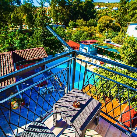 Tuthaliya Проживание в семье