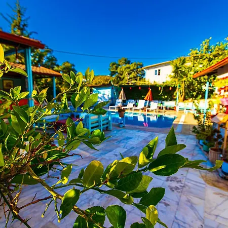 Séjour chez l'habitant Tuthaliya *